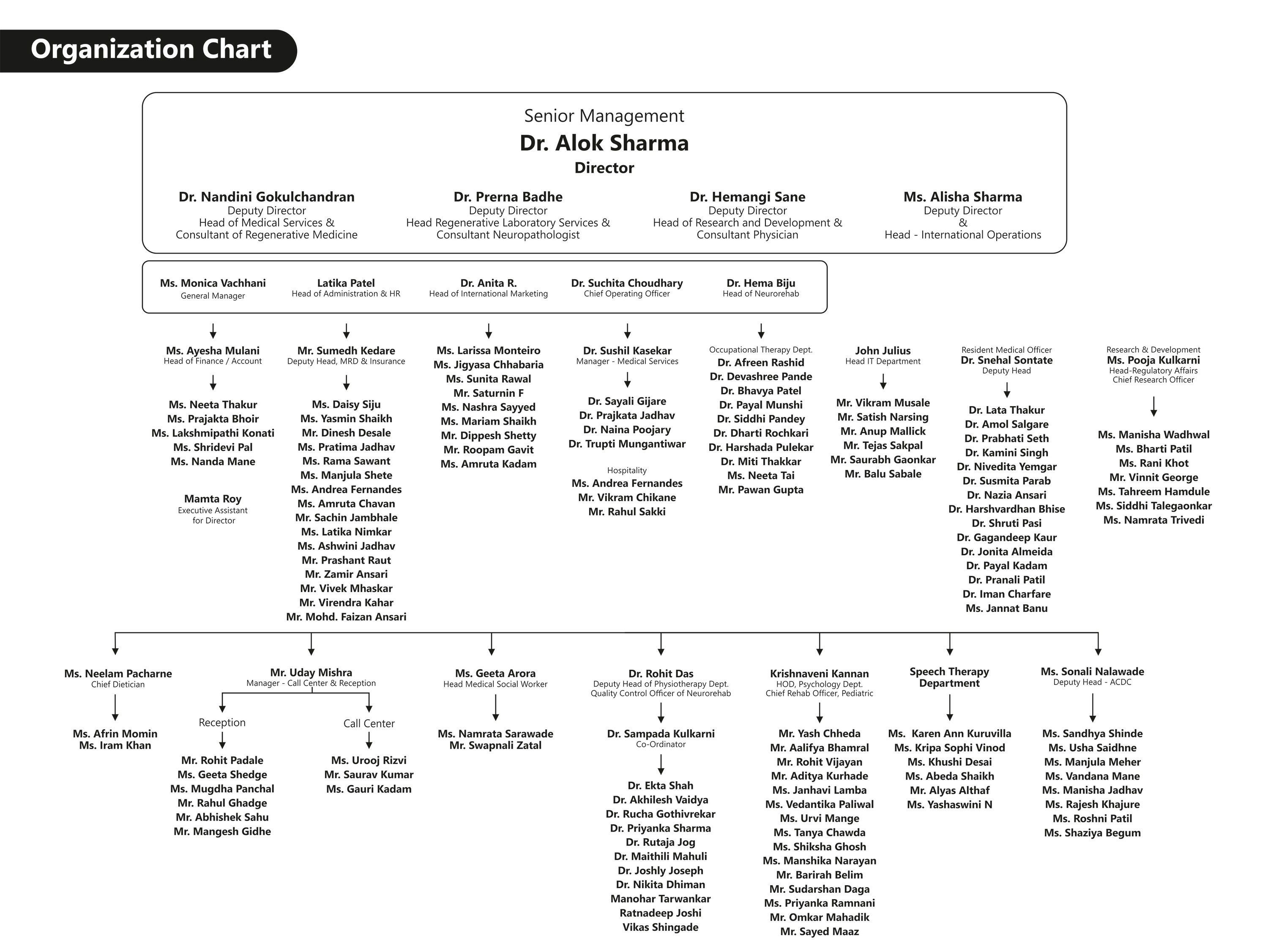 Organization Chart